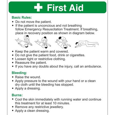  Remember though, these are just first aid measures and should not replace professional veterinary care