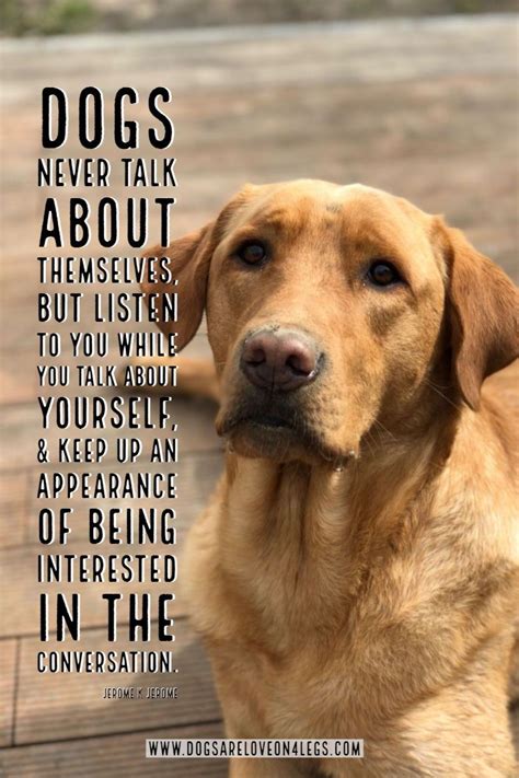  Remember to continue to be positive to the dog and let it know that this the right thing to do