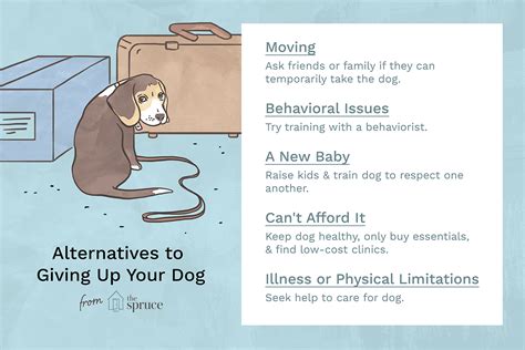  Repeat this process by stepping away from your dog