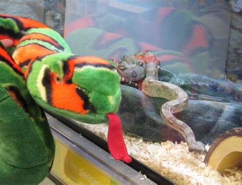  Reptile Sale!!! This weekend Cranberry twp Petco