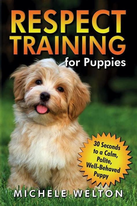  Respect Training For Puppies: 30 seconds to a calm, polite, well-behaved puppy