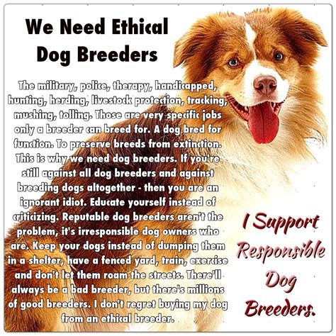  Responsible breeders prioritize the health and well-being of the breed and carefully select breeding pairs based on factors such as health, temperament, and genetic diversity