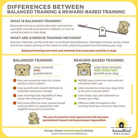  Reward-based training is also key to prevent any stubborn streaks developing