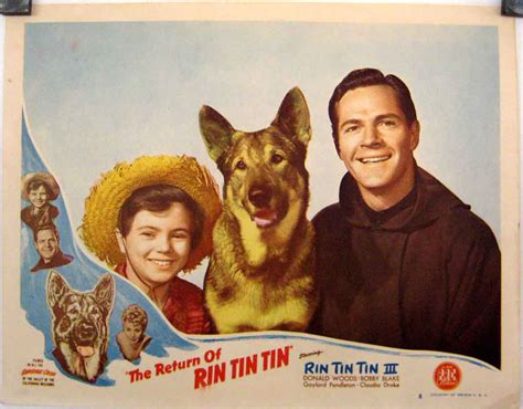  Rin Tin Tin immediately was a big success