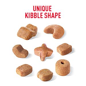  Rounded, triangular or other unique-shaped kibble are ideal, avoid the traditional large square bits