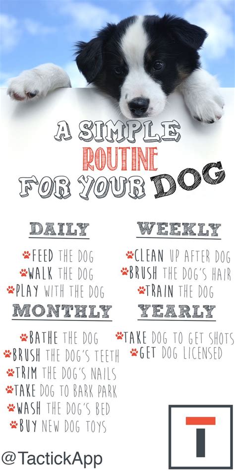  Routine Care, Diet, and Exercise Build her routine care into your schedule to help your English Bulldog live longer, stay healthier, and be happier during her lifetime