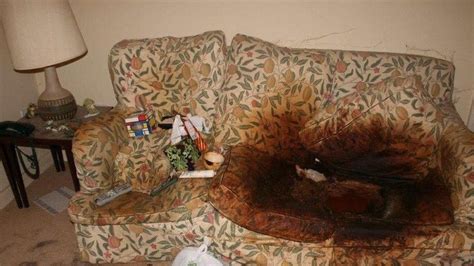  Rusty would go nuts when I would leave the house for work! I wanted to send you guys a picture of my couch after he ate half of it! After using the CBD product I was finally able to stop his destruction