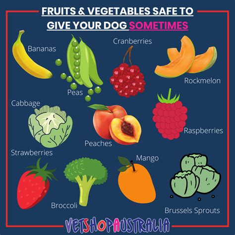  Safe Fruits and Vegetables suitable for French Bulldogs: Your Frenchie can enjoy several types of fruits and vegetables