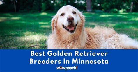  Select from the highest-rated breeders in the state