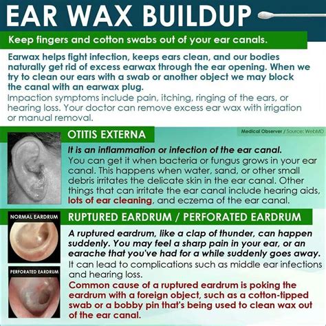  Several of the most usual examples include: wax buildup, lawn, dirt, germs, and ear mites