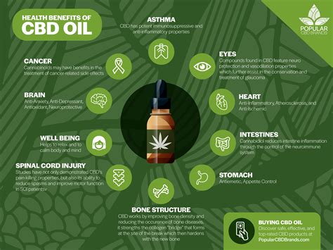  Several vital benefits of CBD oil are good for humans and animals