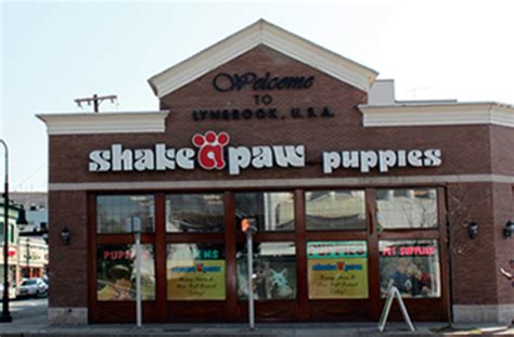  Shake A Paw is New York