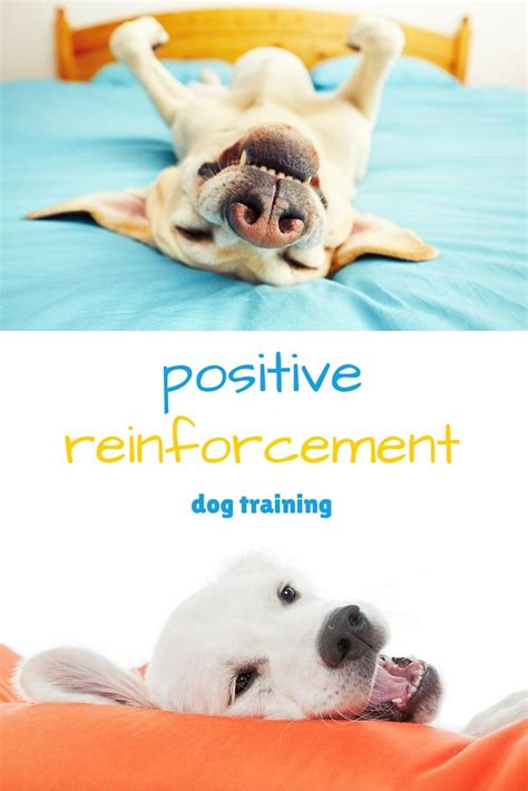  She can be very charming and charismatic with positive reinforcement training