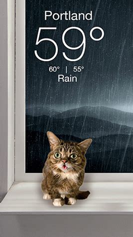  She has an app called Weather BUB, designed to make you smile every time you check the weather