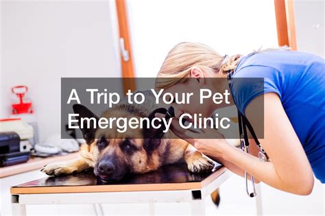  Should you take your pet to the emergency clinic? Deciding which delivery method is best for your pet can take some research
