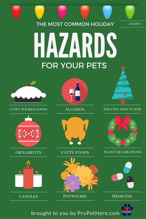  Show Notes Episode - Holiday Pet Hazards Hiding In Your House The holiday season is here, and it is important to remind pet parents of the potential hazards that are present this time of year