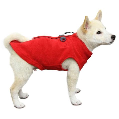  Similarly, in cold weather, dress your canine companion in an extra layer to be safe