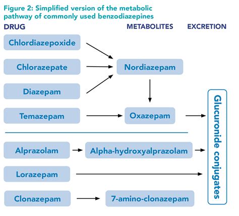  Similarly, the benzodiazepine screen tests for a metabolite, oxazepam