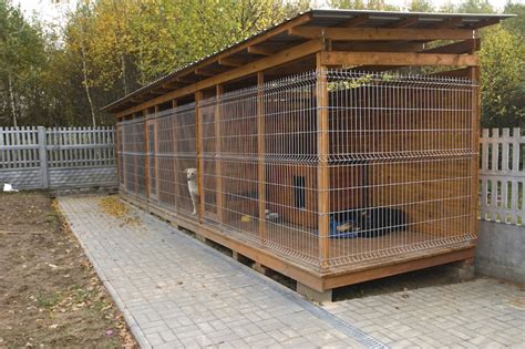 Since they are so social these dogs are not at all suitable to be outside-only dogs or dogs that mostly live in kennels