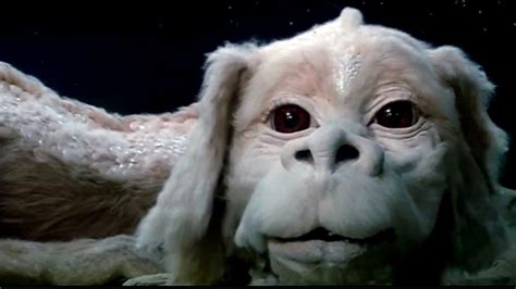  Sire of the litter Falkor is 2