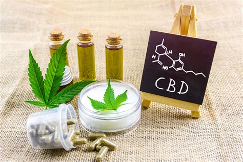  So, CBD can help minimize the impact of separation anxiety