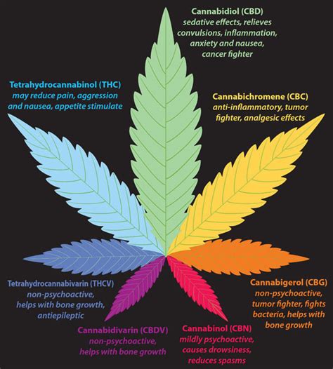  So, Palm Organix makes sure these cannabinoids can thrive together