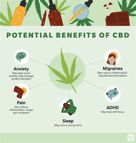  So, if you are using a CBD product start low and increase gradually