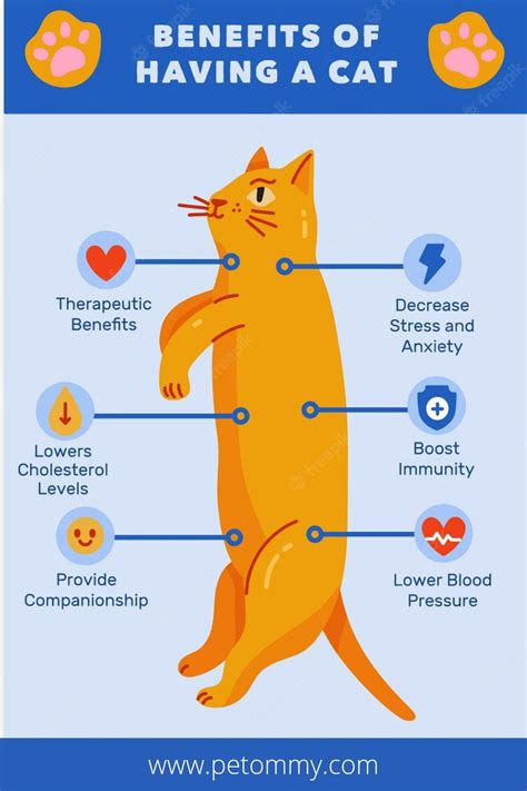  So, your cat gets the health benefits from these compounds