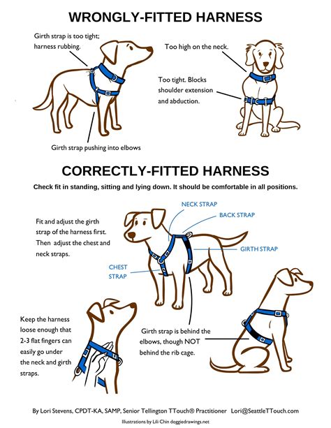  So the main criteria when choosing a dog harness for your pet should be: sphere of usage, a dog