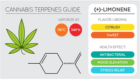  Some, such as pinene and limonene, have their own health benefits, like inflammation control and pain relief