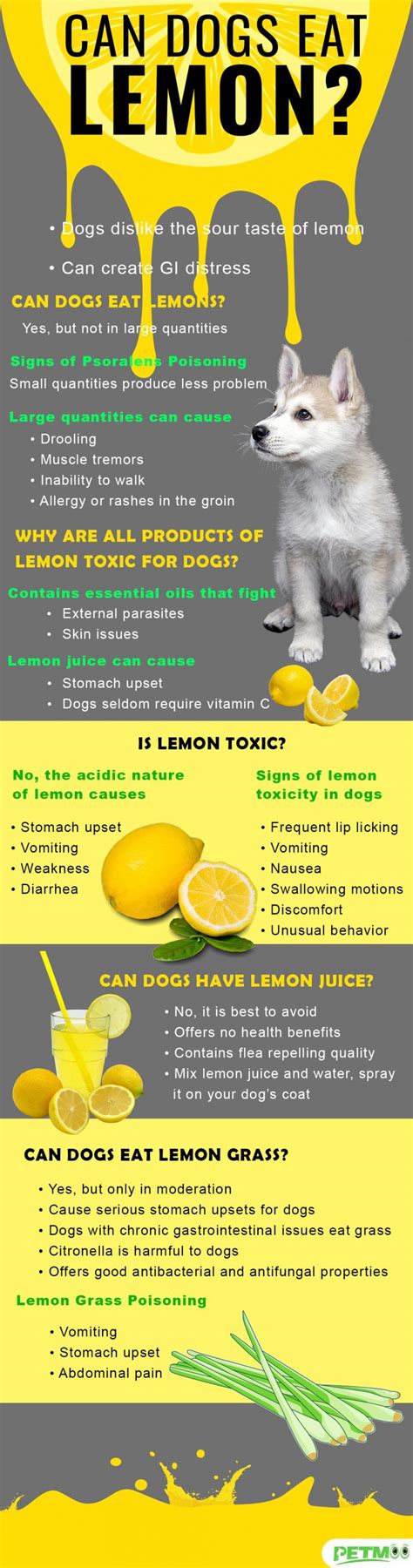  Some dog owners say lemon juice helps