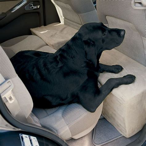  Some dogs will be more comfortable riding in the backseat, while others will feel more secure if they are kept in a crate