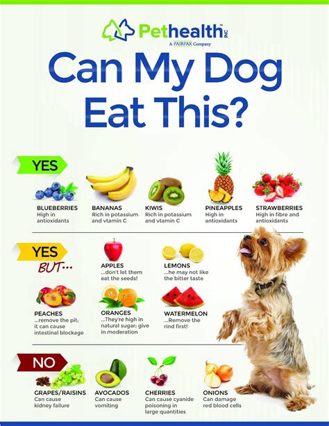  Some fruits and vegetables are not recommended because they can even be toxic to your puppy