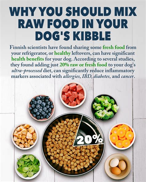 Some of the benefits listed for kibble are: Increased dental health Reduced risk of bacteria Raw diet Raw food can be homemade, and or store-bought