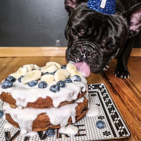  Some of the best options for Frenchies include apples, bananas, and blueberries