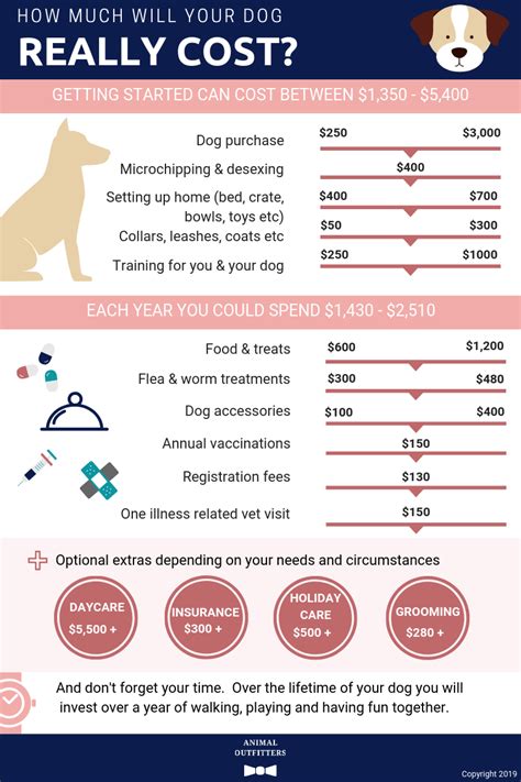  Some of these costs include: Initial Expenses Supplies crate, bed, leash, collar, toys, etc
