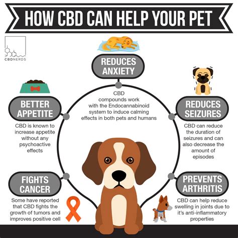  Some pet owners have reported that CBD helps in minimizing these symptoms
