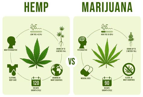  Some strains make the federally illegal marijuana and others make hemp for industrial and therapeutic use