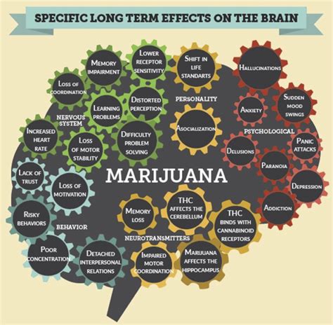  Some studies have reported beneficial effects lasting for a short while after CBD treatment is stopped see below