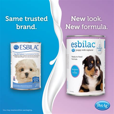  Start by bowl feeding them with a high-quality puppy formula like Esbilac
