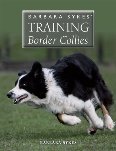  Starting out just training her own Border Collies, she gradually expanded to local classes and seminars, now she travels as far as Europe and teaches students all over the world on how to train their dogs in a positive, bonding, game-based way