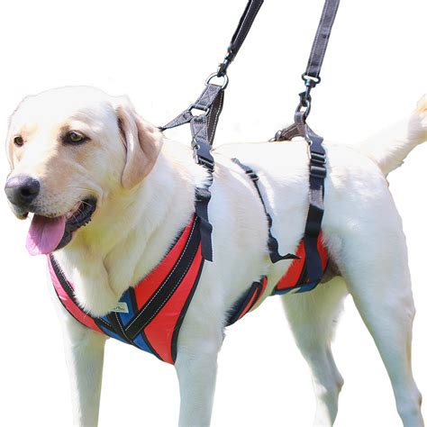  Step-in harnesses fit well over small dogs but you can also find a few that will fit big dogs