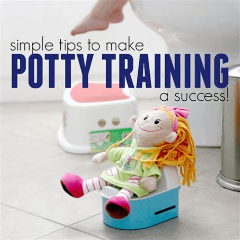  Steps of a Successful Potty Training Potty training can be a challenging aspect of raising a French Bulldog, but with the right approach, you can make it a smooth process