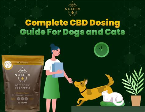  Stick to a regular dosing schedule This is especially important for pet parents dosing their cats with CBD daily