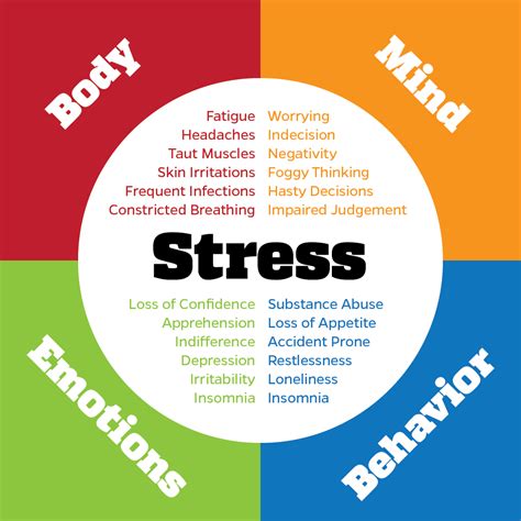  Stress can be caused by many things including changes in daily routines, separation from their pack leader, confusion and memory loss from aging, fear loud noises, new environments, large or strange objects and big groups of people and social anxiety