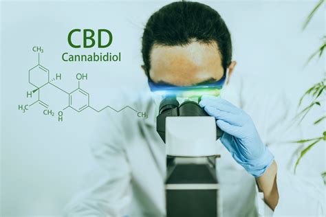  Studies conducted on animals indicate that CBD may help ease nausea, likely by interacting with serotonin receptors