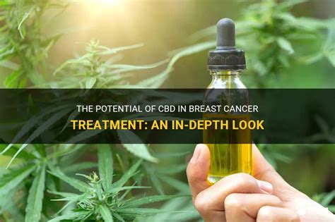  Studies have indicated that CBD helps in the treatment of cancer as well as tumours