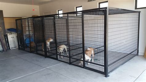  Study dogs were pair housed in kennels designed to provide free access to a temperature-controlled interior and an external pen at ambient temperature; dogs were provided with sleeping platforms at night