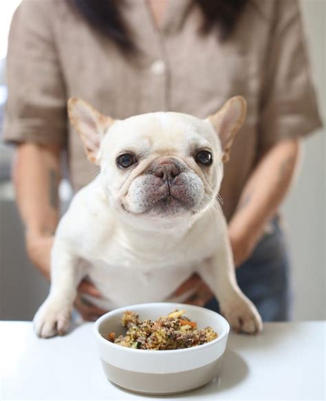  Suitable ingredients for homemade dog food for French Bulldogs include cooked lean meats, cooked eggs, cooked vegetables, cooked grains, and healthy fats