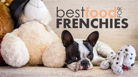  Summary In conclusion, selecting the best dog food for your Frenchie is an essential part of supporting their overall health and well-being